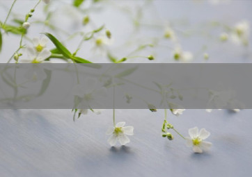 临沂哪里批发香烟便宜点